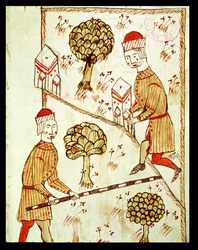 Ms 327 fol.28r Rilievo e demarcazione del terreno, da 